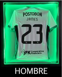 CAMISETA ALTERNA HOMBRE NIKE 2026 - JAMES